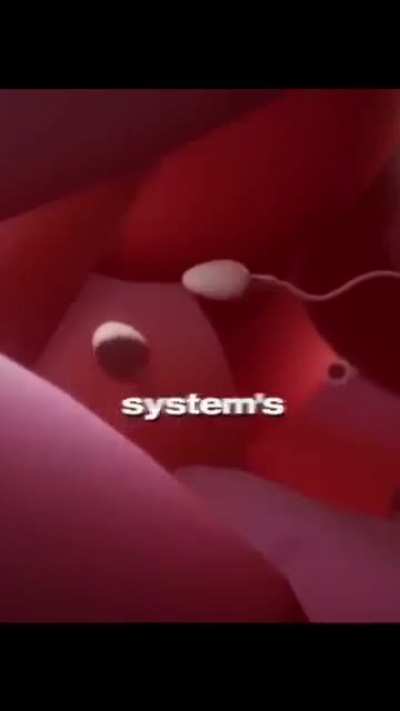 When It Comes To Conception We Are The Exception 🔥🔥🗣️🗣️