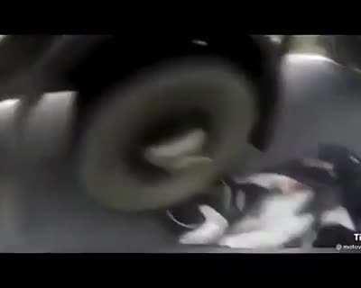 Motorcyclist decides to be an idiot.