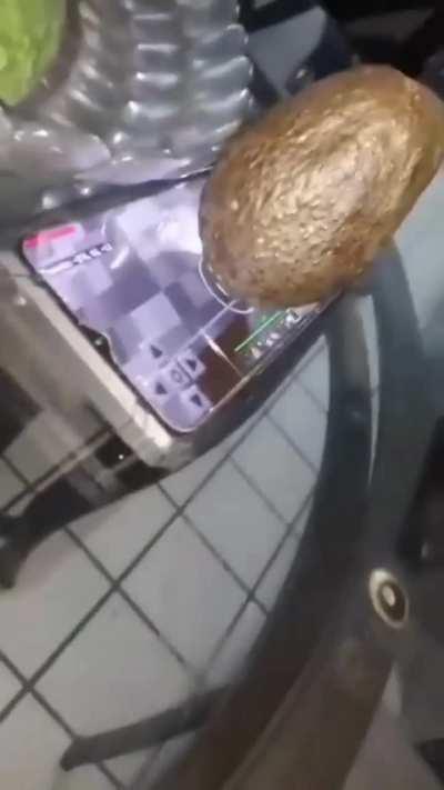 La verdadera granja automática 😦