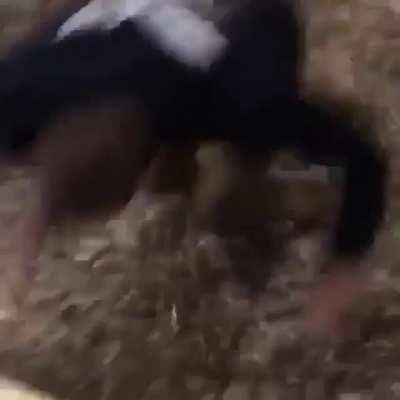 His Name Is Harvey Dent.