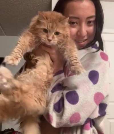 Are petite asians your type?