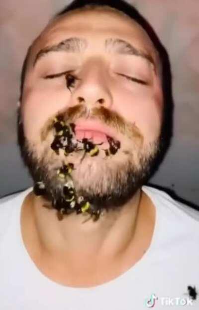 Using bees for clout