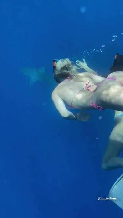 Lily Chee x Snorkeling