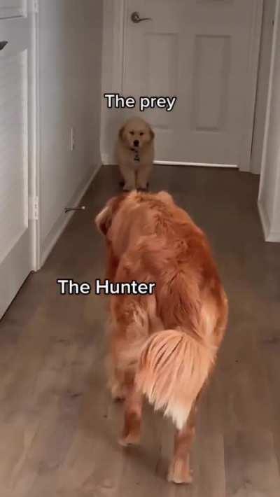 Best friends forever