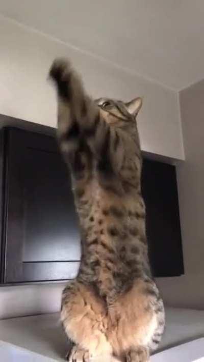 She does this for some reason