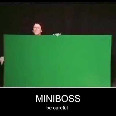 I saw this meme without the music and knew what had to be done