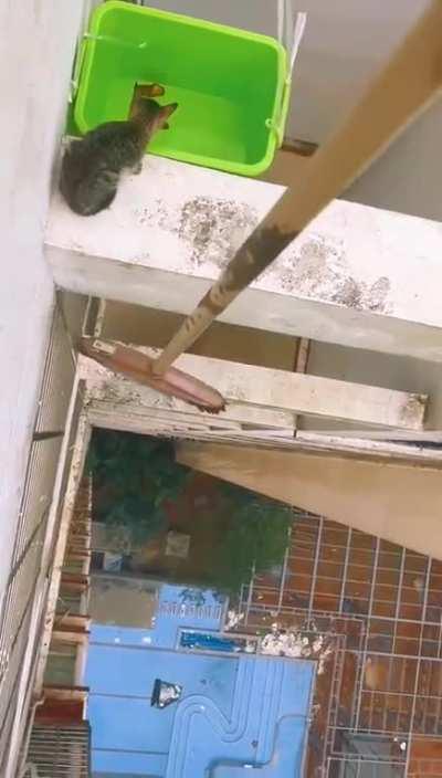 People rescuing a cat stuck in a dangerous place.