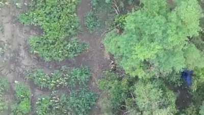 Hidden russian soldier gets shrapnelled by a dropped grenade.