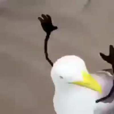 один два три четыре