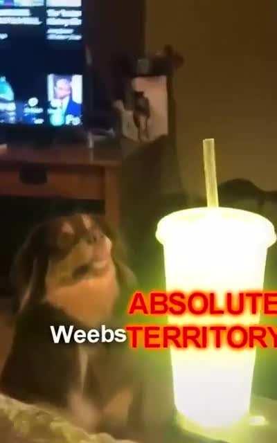 The Absolute Territory!