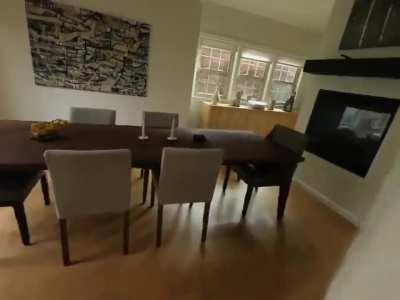 An AI-generated 3D scene created from photos