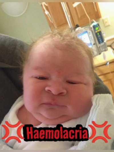 can't wait to go to the shop with my adoption papers ready 😊