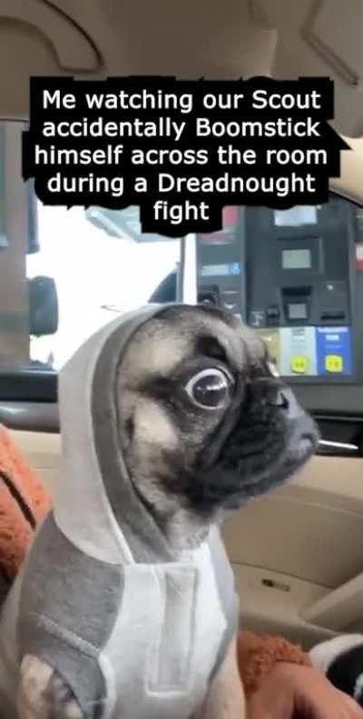 Special Powder the best, for real