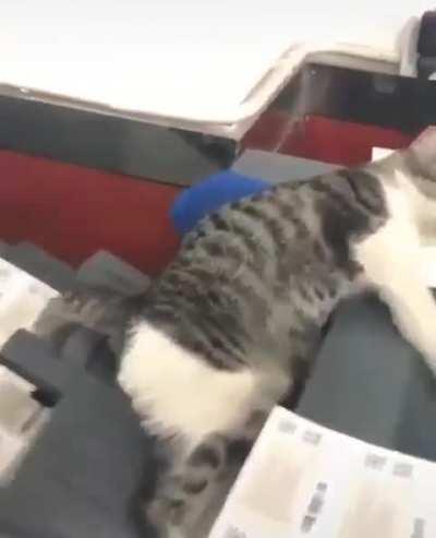 Employee Of The Month