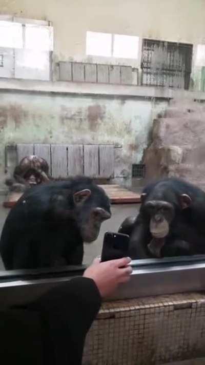 Can you believe Joe?