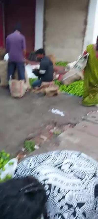 Buying raw mangoes for pickle @ Mapusa market.