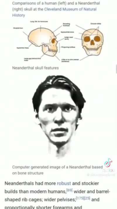 Neanderule
