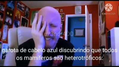 Isso é só meme meu parceiro...