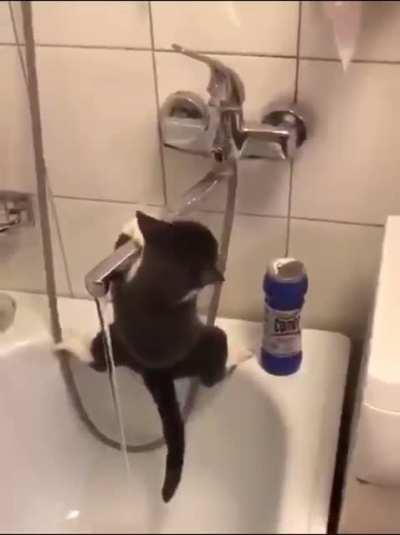 Because the water in the bowl just doesn't taste good enough