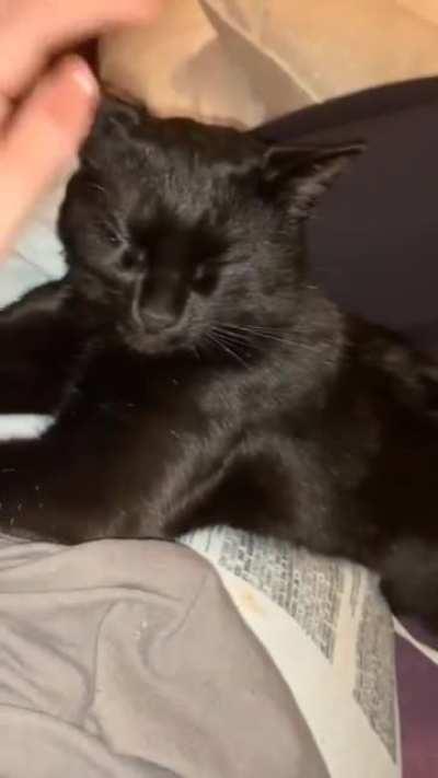 От такого можно ожидать чего угодно