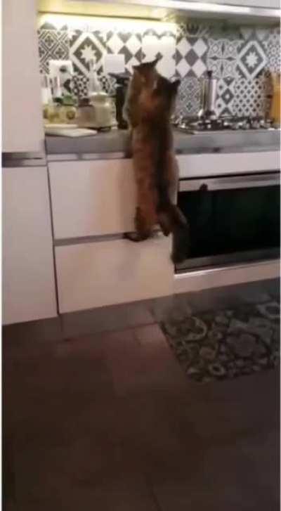 Wholesome cuteness <3