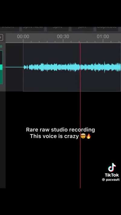 He mastered the voice.