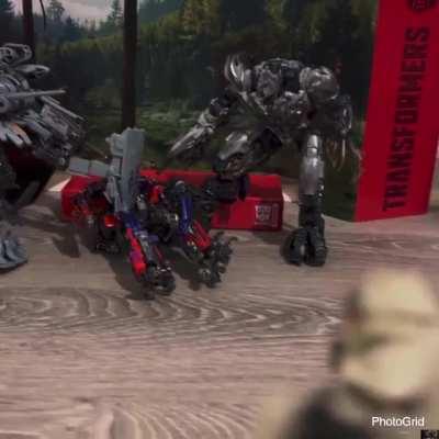 How I remember the forest fight