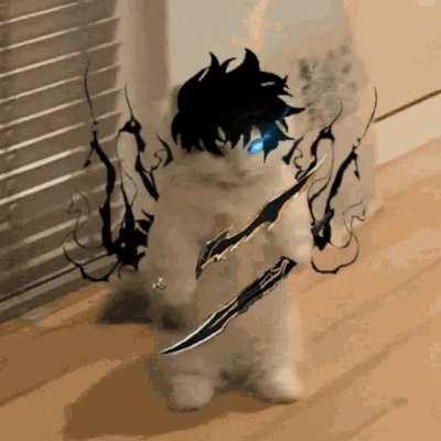 Sung Jin-mew, I CHOOSE YOU!!!