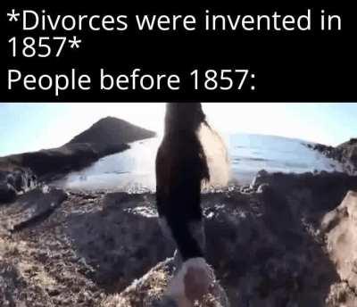 She slipped off the cliff