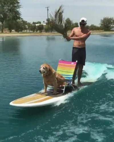 What is making this board go forward?