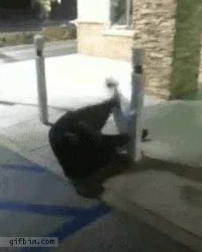 A pole vaultdr he is not