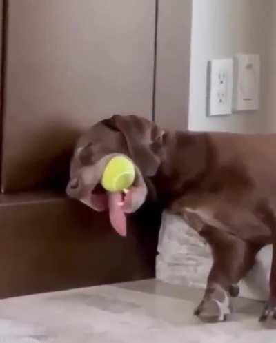 When it's too hot outside