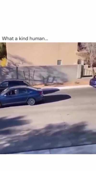 satan lady car at the back help noobie to parallel park