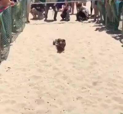 Whatever place she takes, she's a winner.