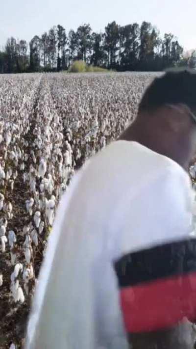 That’s a bit mad you know!!!