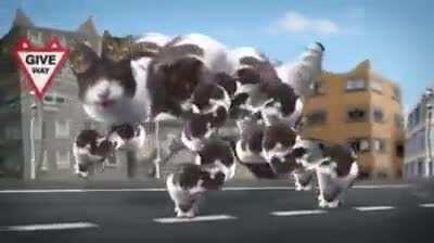 That is the worst kind of high you can have