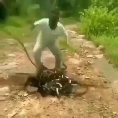 Just dropping some Cargo