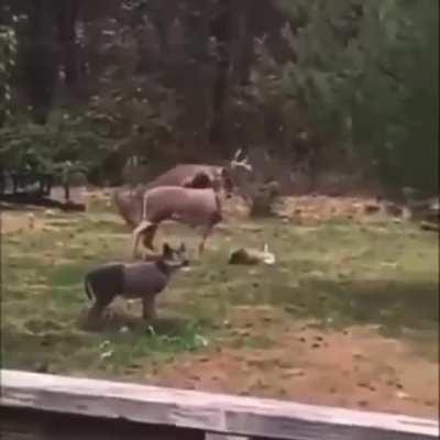 Oh... Ummm. I guess I'll go...