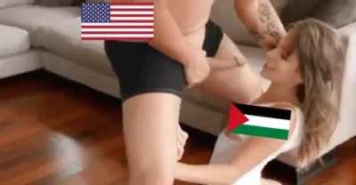 USA trying to get Palestine to accept their new plan.