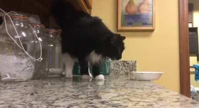 A very precise asshole