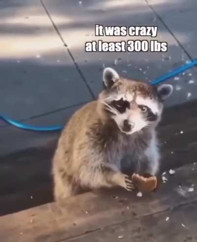 Two massive humans come outta nowhere 