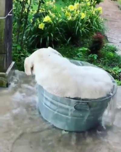 Duke is a model HydroHomie