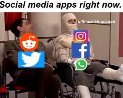 Reddit: Signature look of superiority.