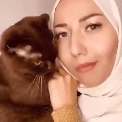 Cat is not halal