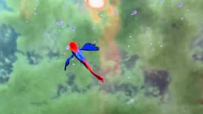 Angelic guppy can YEET!