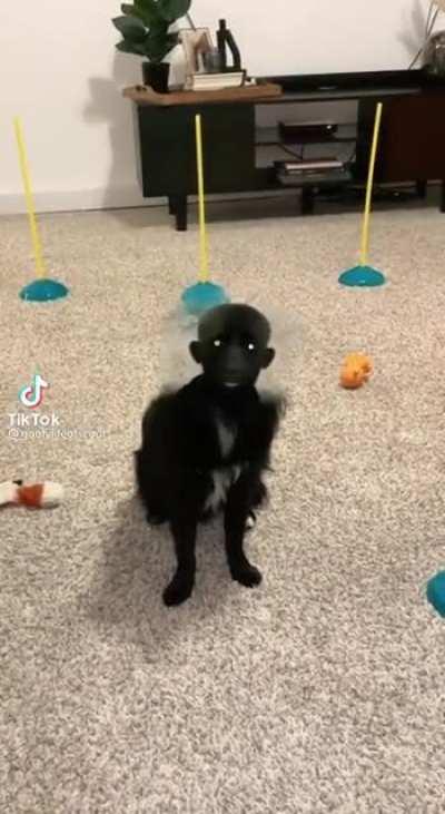 Couldn't decide if this was funny or terifying..sorry if this doesn't belong here x0x