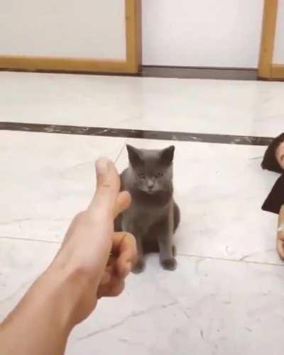 yOuNG kiTTY GetS eXcEcutED