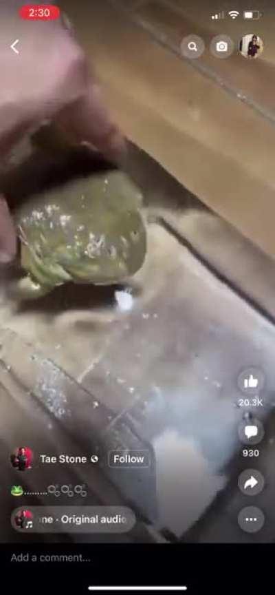 Weeeeeeeehhhhhhblurblurpblurp