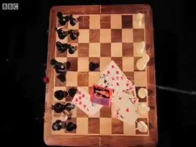 Cmc discord memes #2