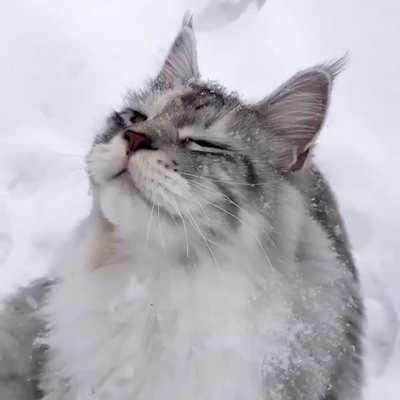 Bathing in snowflakes